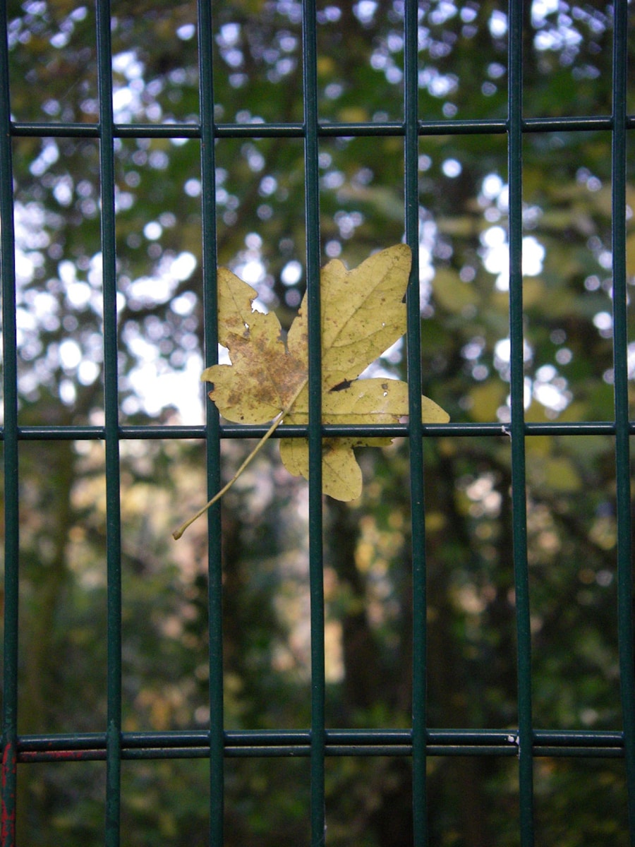 STUCK POINTS: Inner Narratives Keeping Us From Post Traumatic Growth