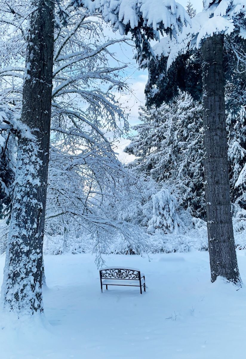 Grief & Loss Meditation